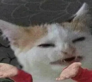 🧐