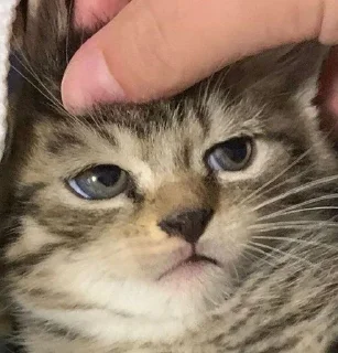 🎀