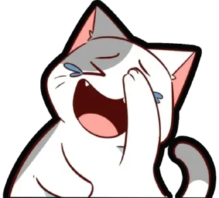 🐈