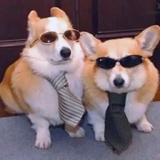 😎