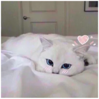 😢