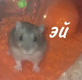 😠