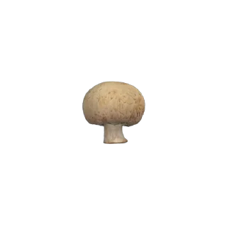 🍄