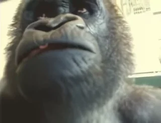 😦
