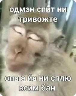 ⛔