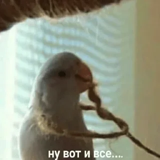 🤕