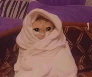 🥺