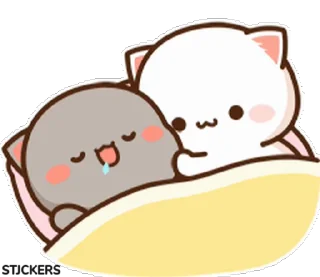 😽