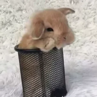 🥛