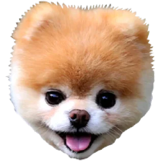 Doggy @stickersb2b