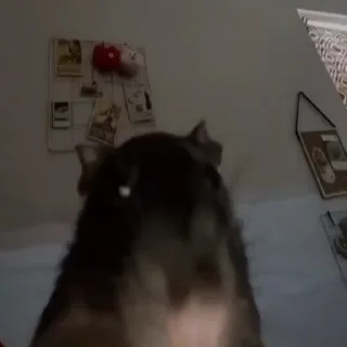 😶