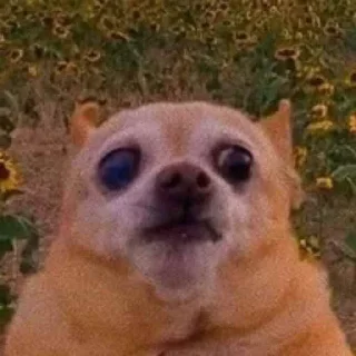 😟