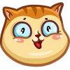 Cat it!