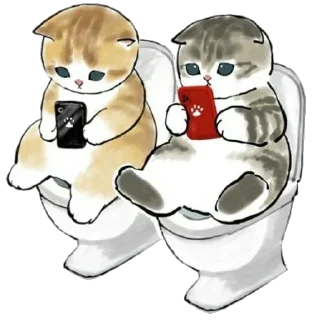 🧻