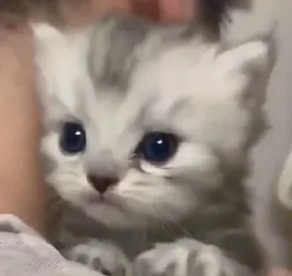 😐