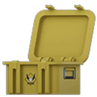 💼
