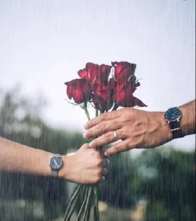🌹