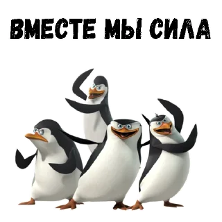 💪
