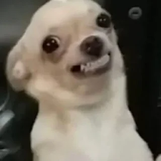 😁