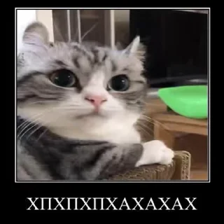 😎