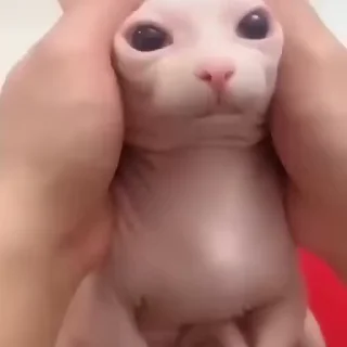 🥺