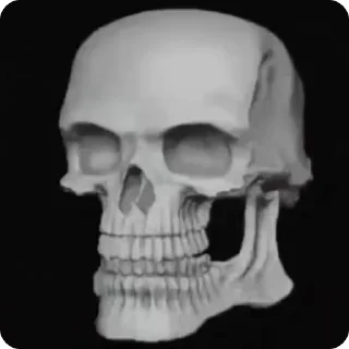 💀