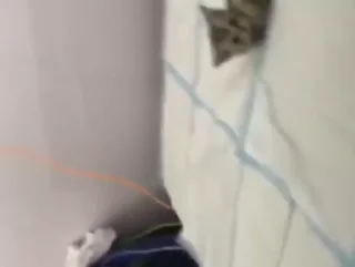 🛌