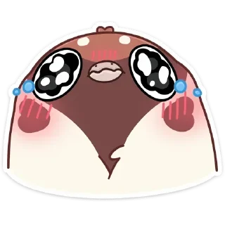 🥺