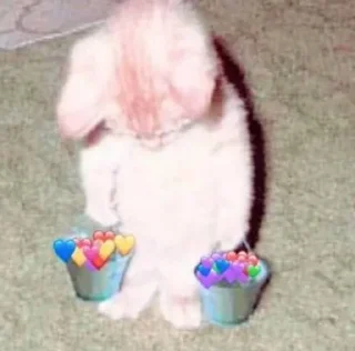 🌚