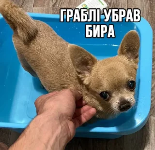 🖐