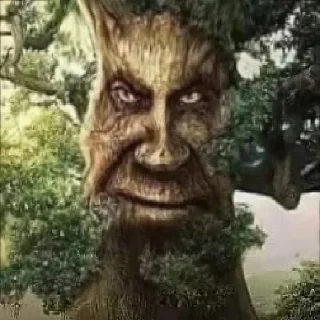 😱