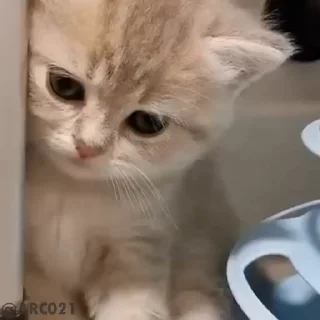 😒