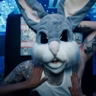 🐰