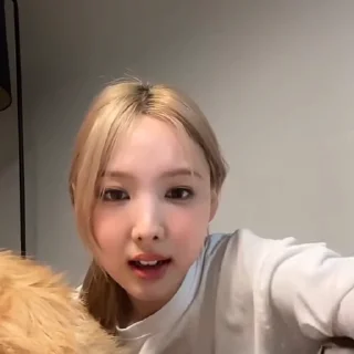 🐰