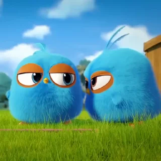 🐣