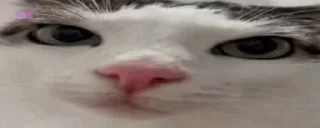 😌