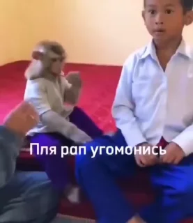🌟