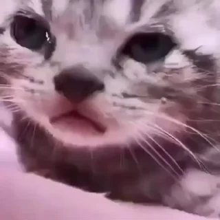 😭