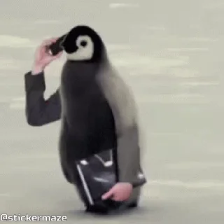 🐧