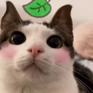 ☺️