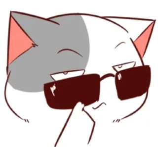 🐈