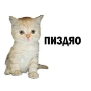 🙂
