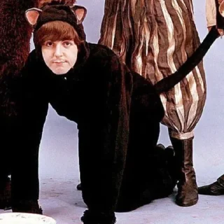 🐱