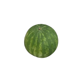 🍉