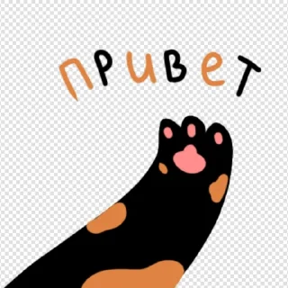 👋