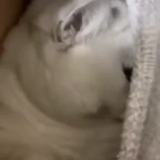 💕