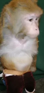 😍