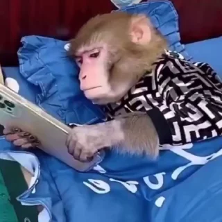 📱