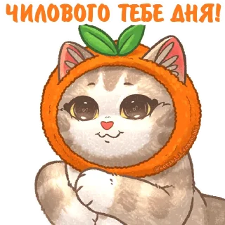 🍊