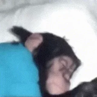 😴